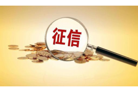 海丰贷款清欠服务