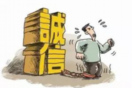 海丰贷款清欠服务